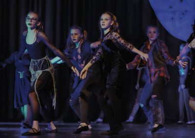 "Celebration", eine fächerübergreifende Gemeinschaftsaufführung in der Gemeindehalle Irrel | Stiftung des Beda-Instituts Bitburg - Inklusive Schule für Europäische Kulturbildung