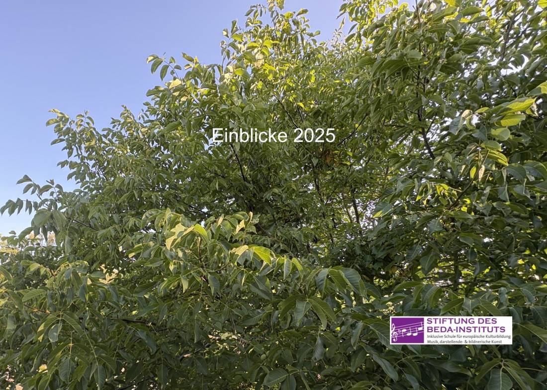 Jahresbroschüre Vorschau 2021-22 - Stiftung des Beda-Instituts Bitburg | Inklusive Schule für Europäische Kulturbildung